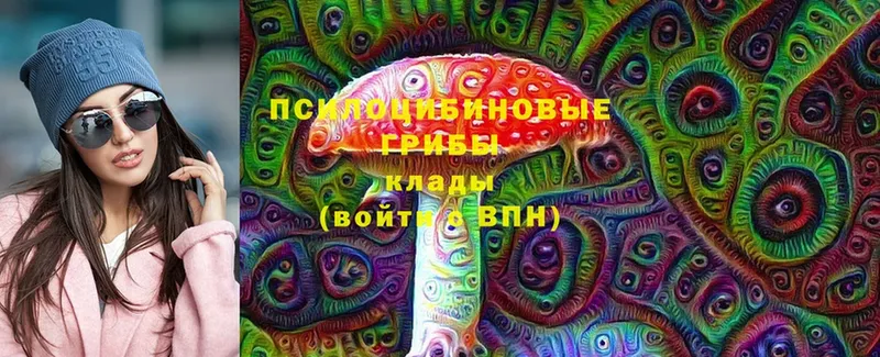 купить наркоту  Алзамай  Псилоцибиновые грибы Cubensis 